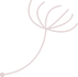 FT Celebrant Services Logo